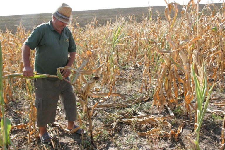 Comisia Europeană atrage atenția: ‘Franța, România, Spania, Portugalia și Italia vor trebui să facă față probabil unei scăderi a randamentelor agricole’